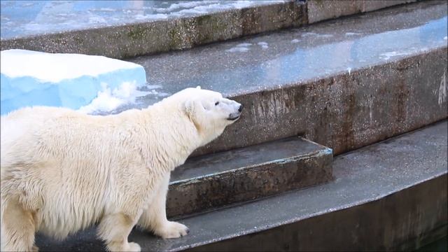 Герда после завтрака 08.10.2025 смотреть онлайн