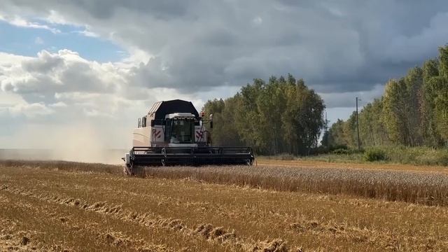 Каких результатов достигла Свердловская область в аграрном секторе? Панорама 14.10.25 смотреть онлайн