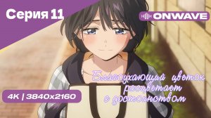 [4K] Благоухающий цветок расцветает с достоинством - Серия 11 [OnWave]