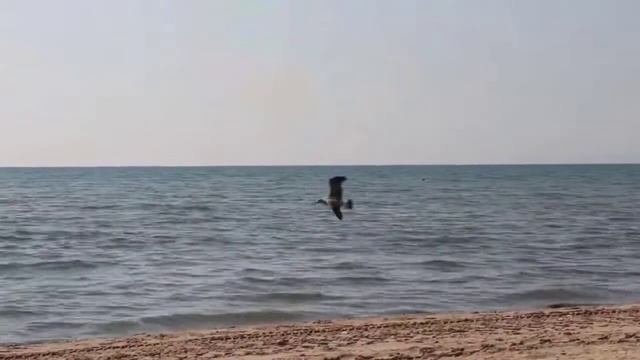 Прогулка по Лондону. Английский через нейропсихологию.