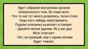 Идет Мужик по Улице и Вдруг. Сборник Анекдотов №7 Юмор