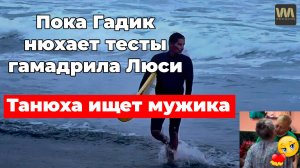 Пока муж Алексагиной нюхает тесты гамадрила Люси, она ищет мужика на вечер, 14 октября