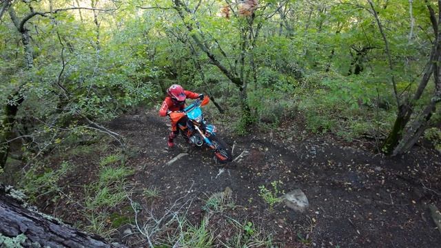 DJI_0137