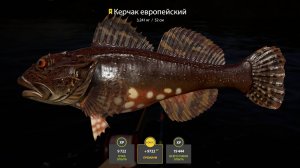 РР 4 Море ! Где лучше качать опыт (МЛО). 30 банка.