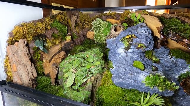 PALUDARIUM TUTORIAL _ Step by step смотреть онлайн