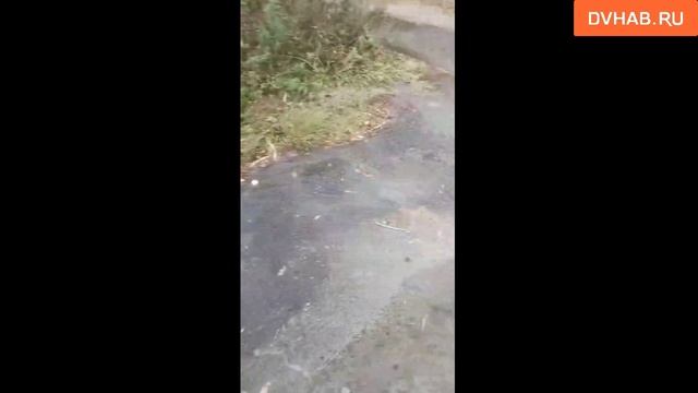 Трубу прорвало у дома на улице Нагорной смотреть онлайн