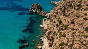 Дикая природа, красота мира 4К 8К Full HD