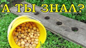 ЗАВЕРШАЕМ СЕЗОН: работы и посевы в ОКТЯБРЕ☝☝☝