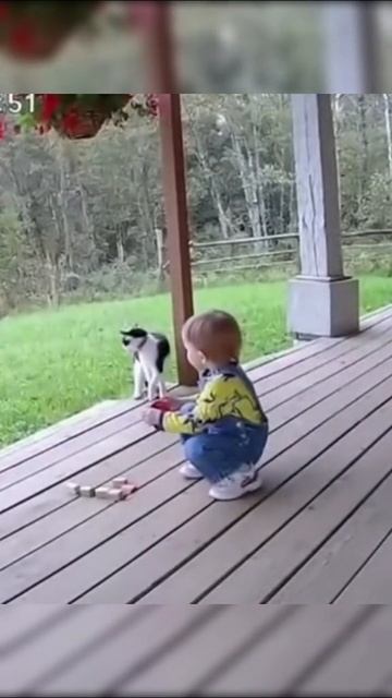 и пусть после этого мне кто нибудь скажет что кошки не преданы своему человеку.mp4