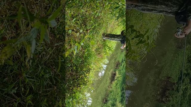 Очередная прогулка по р.Вопь🎣