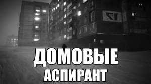 ДОМОВЫЕ. Аспирант. Страшные истории. Часть 30