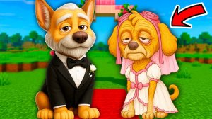 ГОНЩИК СТАРЫЙ и СКАЙ СТАРАЯ ЩЕНЯЧИЙ ПАТРУЛЬ РЕШИЛИ ПОЖЕНИТЬСЯ в МАЙНКРАФТЕ