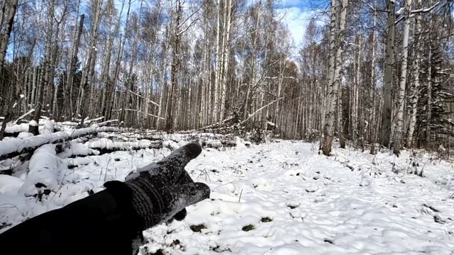 Первый выезд по первому снегу. Солонцы. Звери. смотреть онлайн