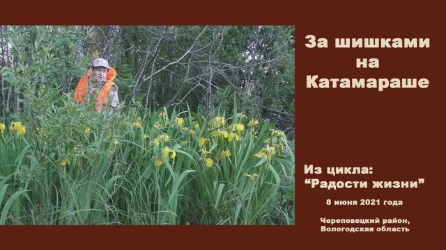 За шишками на Катамараше. Из цикла "Радости жизни" 9 июня 2021 года. смотреть онлайн