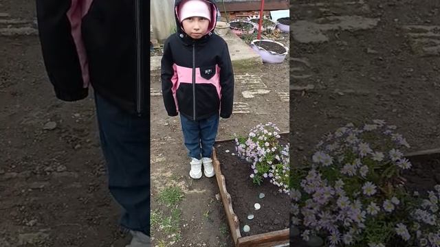 Ландшафтный дизайн