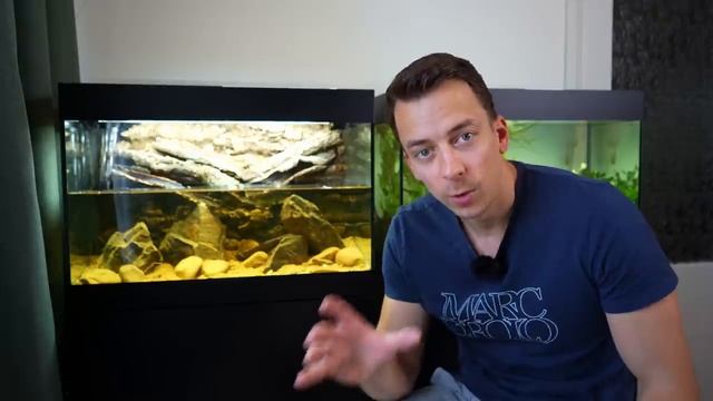 Building an EPIC PALUDARIUM the EASY WAY! смотреть онлайн