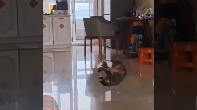 хэппи хэппи хэппи