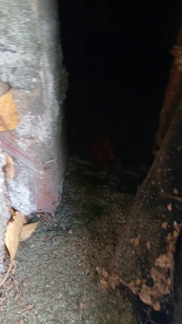 кто там 🤔🤔🤔 смотреть онлайн