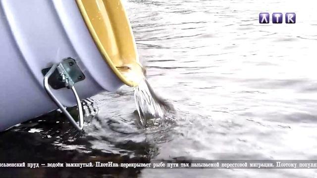 Новосёлы Лысьвенского пруда смотреть онлайн