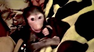 Я приехала с поездки и хочу немного отдохнуть, но Анфиса соскучилась и точно НЕ ХОЧЕТ СПАТЬ!