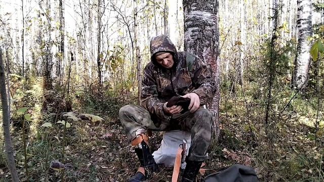 2. Сбор чаги как он есть. Тяжëлая и опасная работа