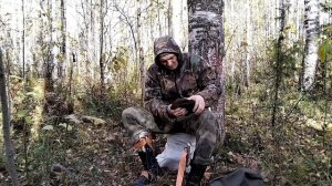 2. Сбор чаги как он есть. Тяжëлая и опасная работа