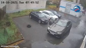 Нападение с ножом у гимназии в Казани: пострадавшая в тяжелом состоянии