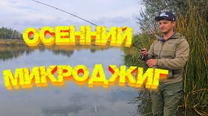 МИКРОДЖИГ осенью 👍 Стаи голодных окуней ЖРУТ приманки 💪