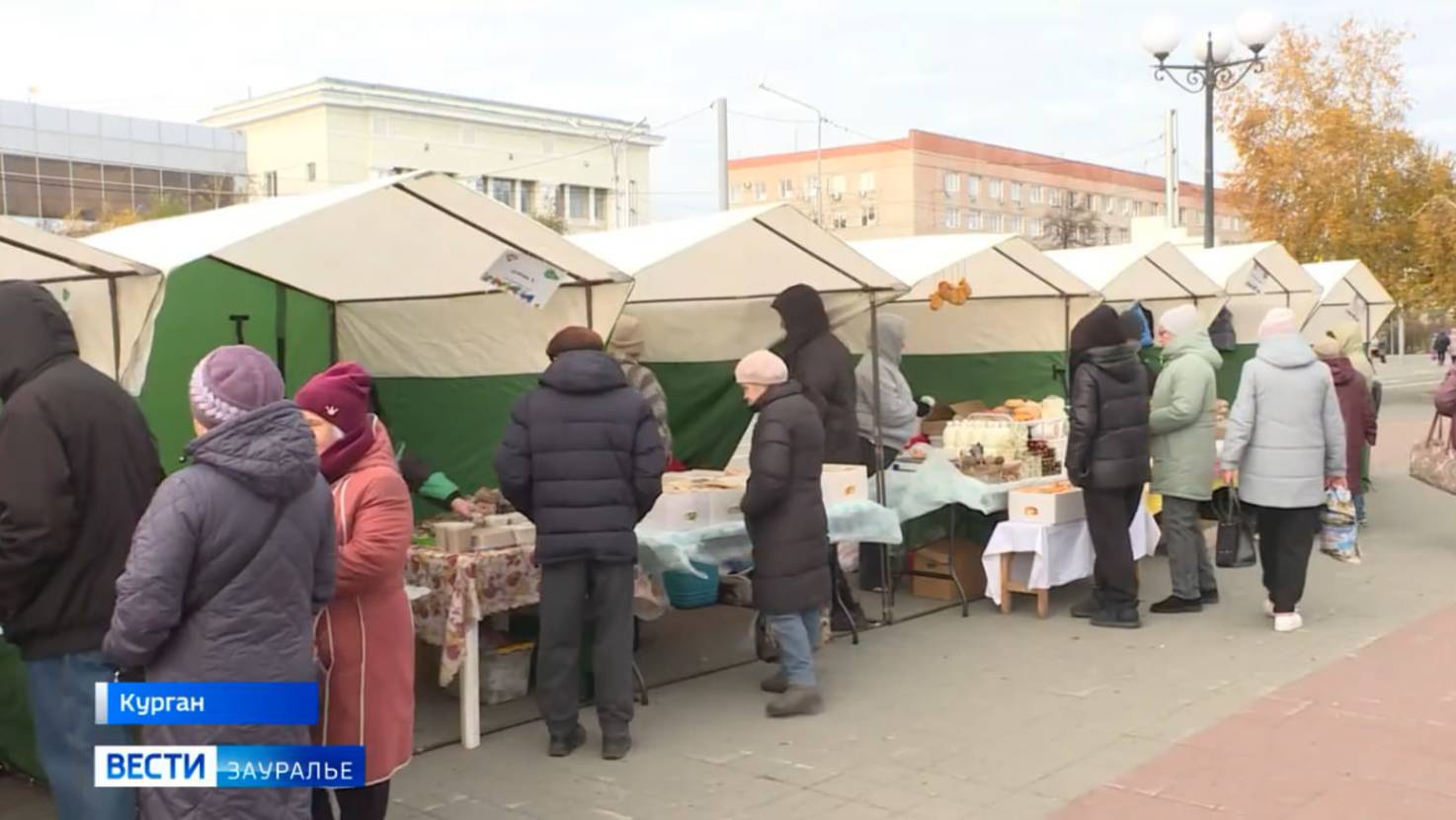 В Кургане прошла сельскохозяйственная Покровская ярмарка смотреть онлайн
