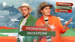 Необычные экскурсии — Невероятно интересные истории (15.10.2025)