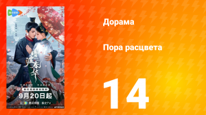 Пора расцвета 14 серия