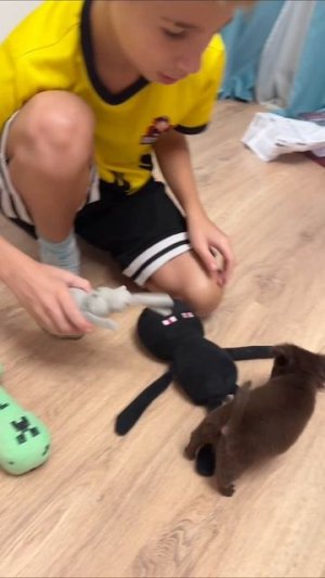 зверское нападение в Майнкрафте 😱