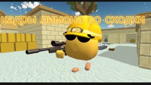 кадры  со сходки лимона!
