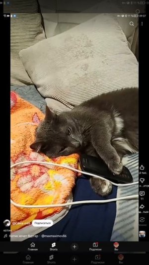 SVID_20251015_093727_1.mp4