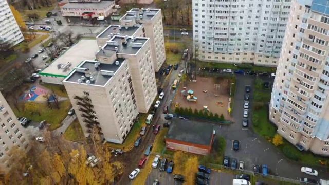 Брянцева виды 30.10.24