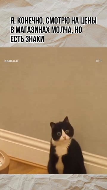 Мем про цены смотреть онлайн