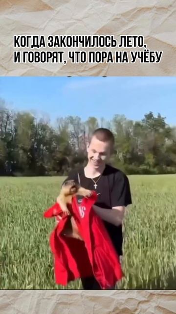 Мем про конец лета смотреть онлайн