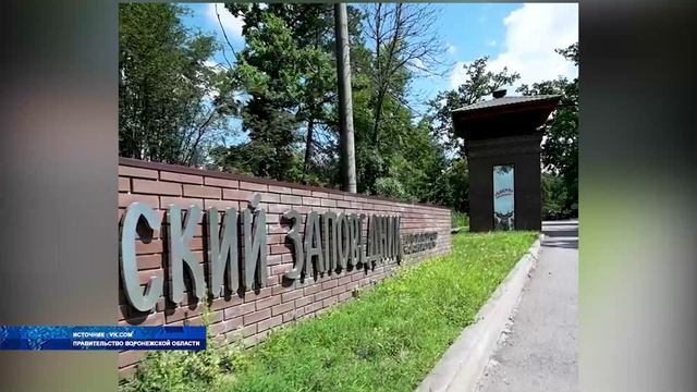 В России отметили День работников заповедного дела смотреть онлайн