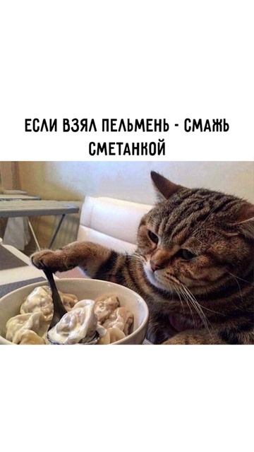 Мем про пельмени смотреть онлайн