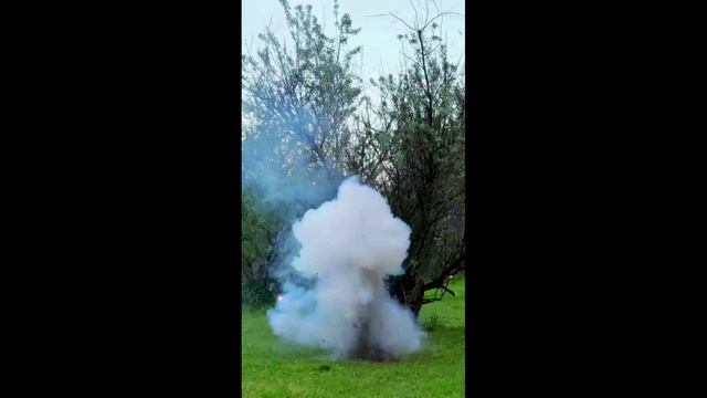 PB-009 Петарды "VENOM" (15 грамм) (1 упаковка / 6 штук) "РПК Залп" смотреть онлайн