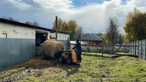 Такого не бывает. Откуда она взялась? Наводим порядок на ферме. Как дела обстоят на самом деле.
