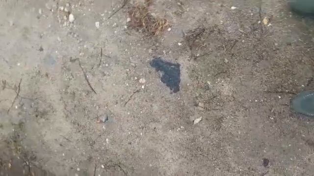 Подбор автомобилей