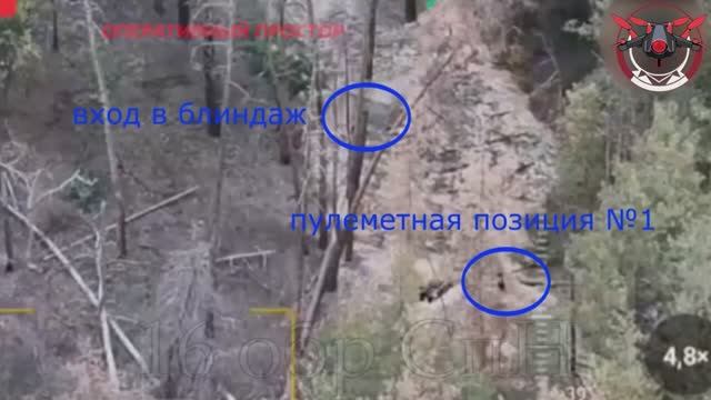 IMG_8588 смотреть онлайн