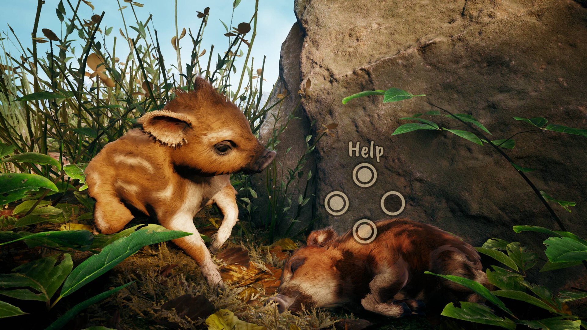 Adorable Adventures | Steam Next Fest Showcase | Полное прохождение демоверсии | Без комментариев смотреть онлайн