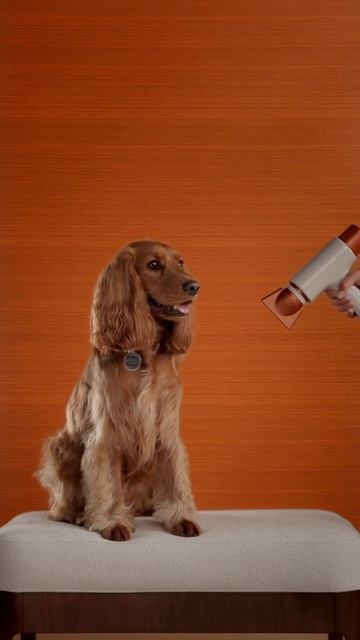 Когда важен комфорт каждого. смотреть онлайн