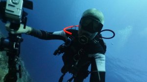 Diving in Egypt , 4К (2025)