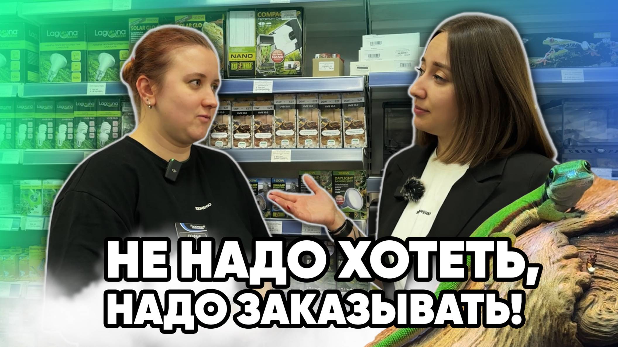 Террариумные новости ЭКЗОМЕНЮ (15.10.2025). Не надо хотеть, надо заказывать! смотреть онлайн
