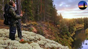 Тайга, Деревня, Хариус, Боровики, Медведи. Огромный Зверь Средь Бела Дня Пришёл к Палатке. Изба.