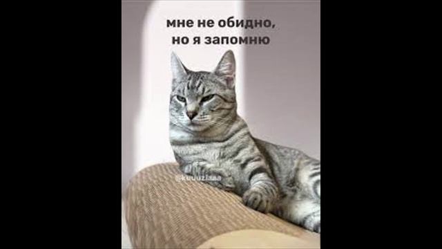 Разговоры с коллекторами 99 смотреть онлайн