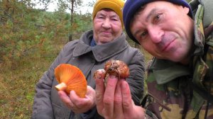 УШЛИ С БАБУШКОЙ В ЛЕС И НАПАЛИ НА ФАНТАСТИЧЕСКИЕ МОЛОДЫЕ ГРИБЫ В ОКТЯБРЕ!